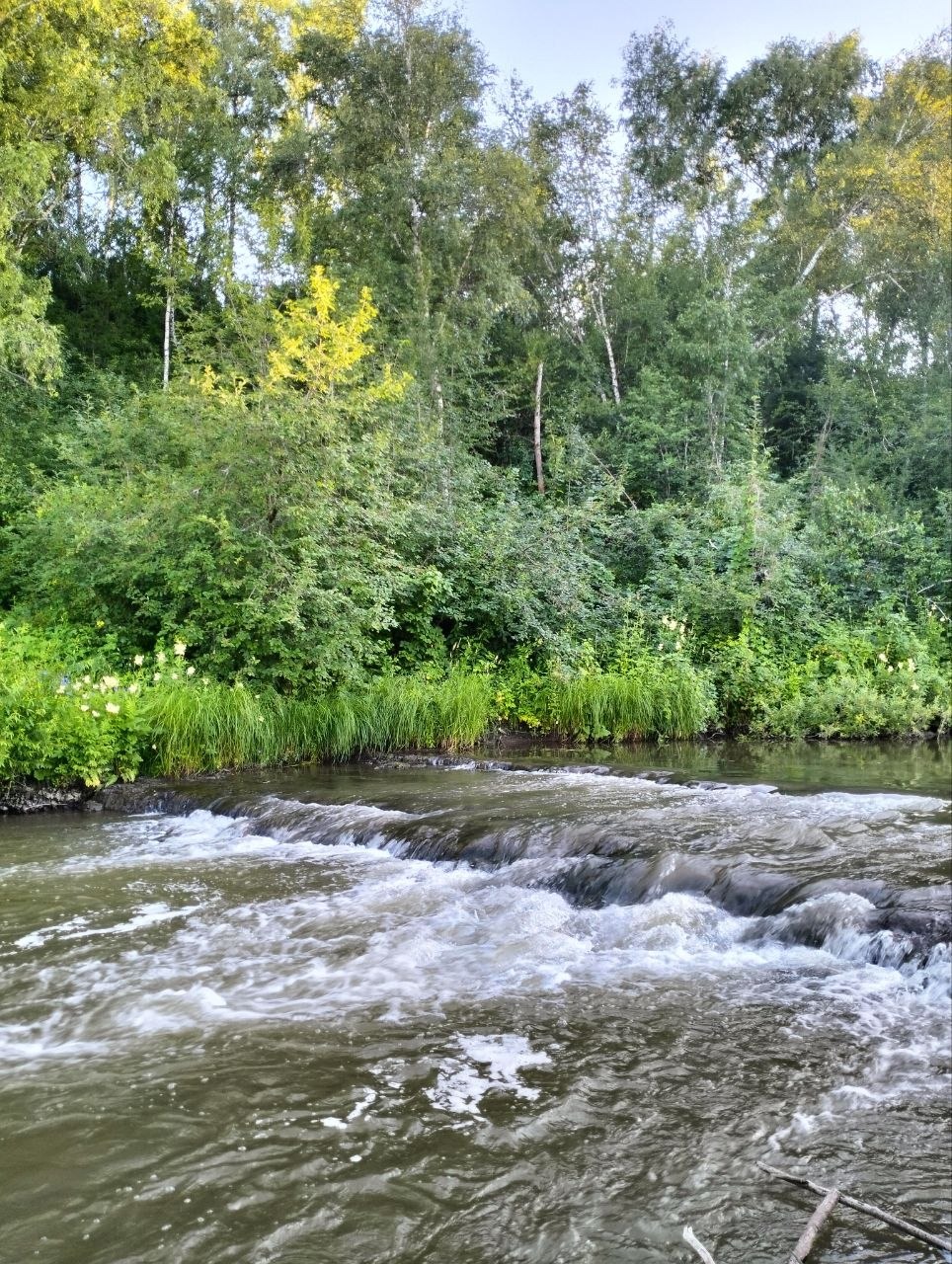 Быстрая вода проходит вдоль зелёного берега.