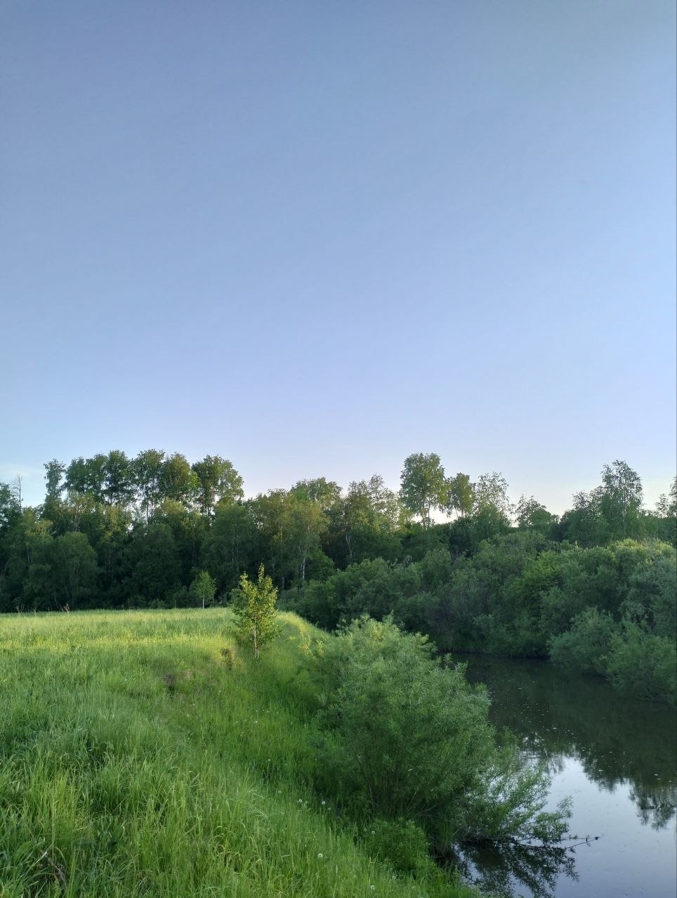 Зелёный берег и спокойная вода в конце лета.